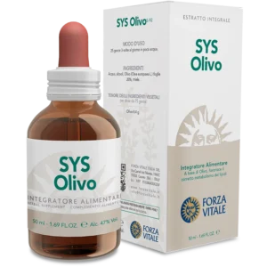 Olivo Sys