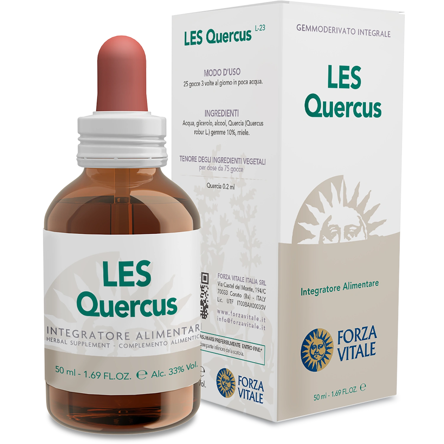 Les Quercus Peduncolata