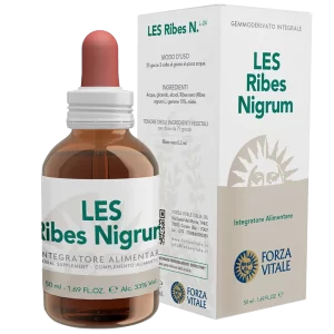 RIBES NIGRUM LES