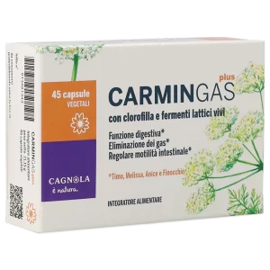 Carmin Gas Plus