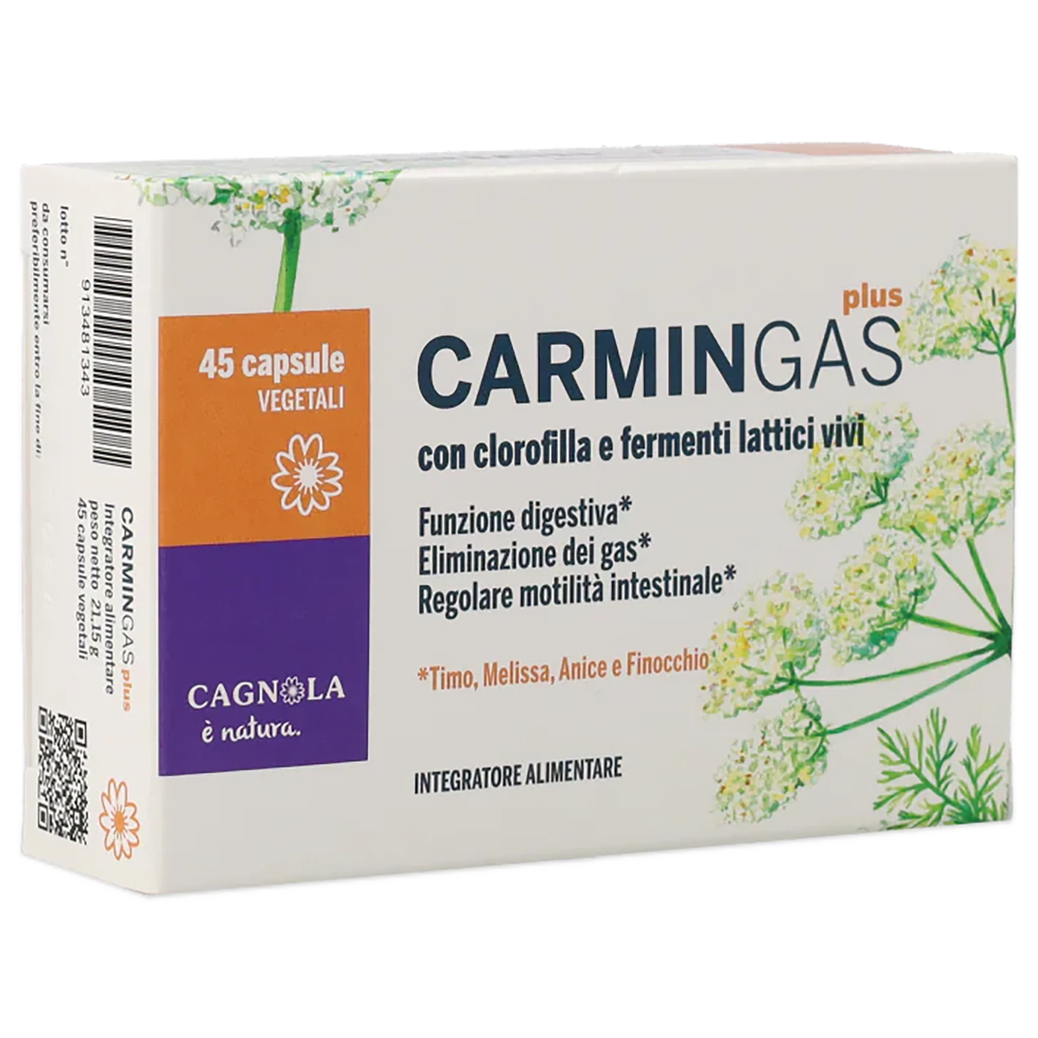 Carmin Gas Plus