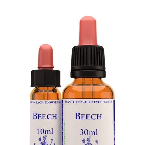BEECH 10 ml.