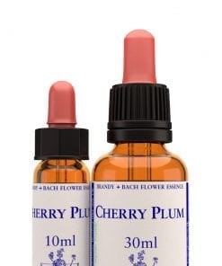 cherry plum 10 ml