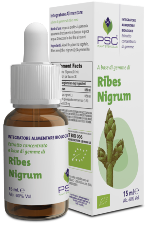 Ribes Nigrum PSC 15 ml.