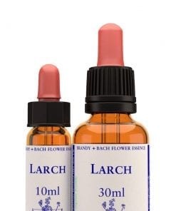 LARCH 10 ml.