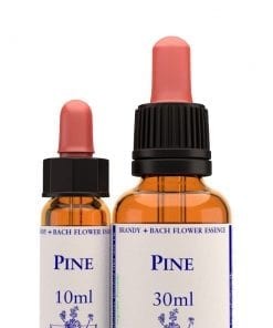 PINE 10 ml.