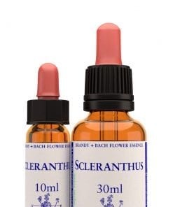 scleranthus 10 ml 1