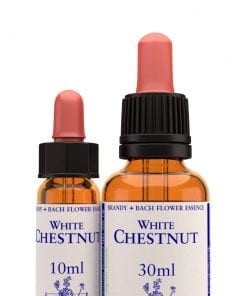 WHITE CHESTNUT 10 ml.