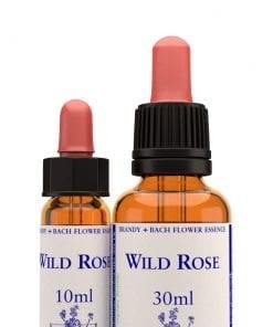 WILD ROSE 10 ml.
