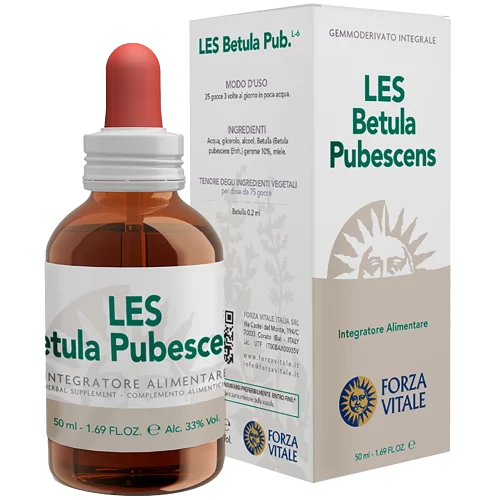 Betula Pubescens Les 50 ml